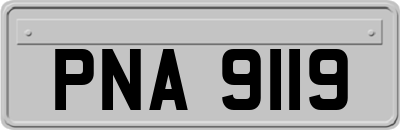 PNA9119