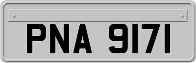 PNA9171