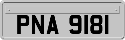 PNA9181