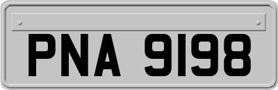 PNA9198