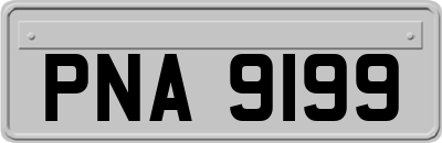 PNA9199