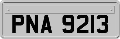 PNA9213