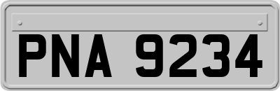 PNA9234