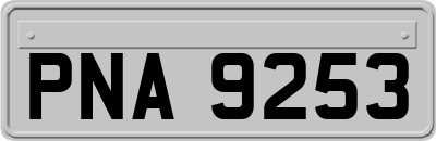 PNA9253