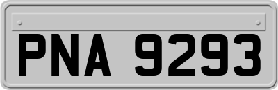 PNA9293