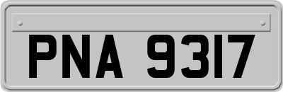 PNA9317