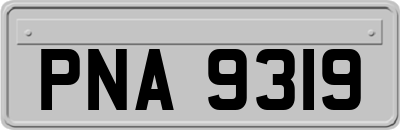 PNA9319