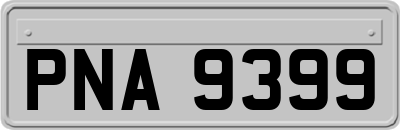 PNA9399