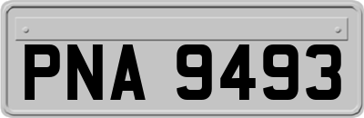 PNA9493