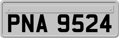 PNA9524