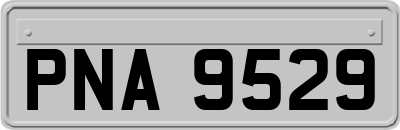 PNA9529