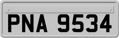 PNA9534