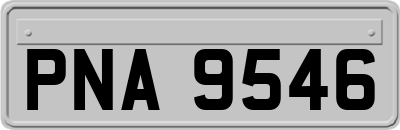 PNA9546