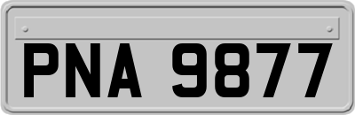 PNA9877