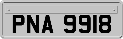 PNA9918