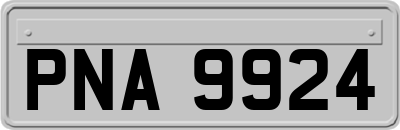 PNA9924
