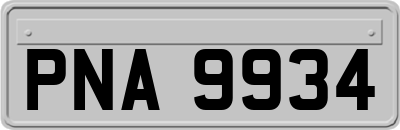 PNA9934