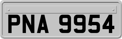PNA9954