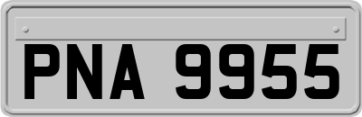 PNA9955