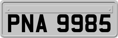PNA9985
