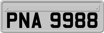 PNA9988