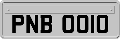 PNB0010