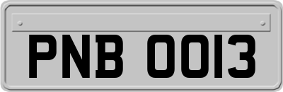 PNB0013