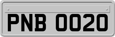 PNB0020