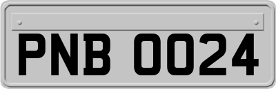 PNB0024