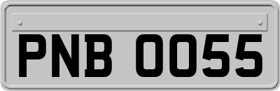 PNB0055
