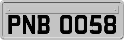 PNB0058