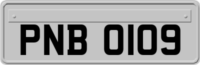 PNB0109
