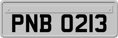 PNB0213