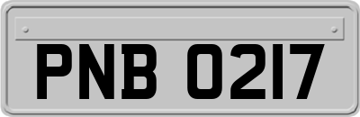 PNB0217