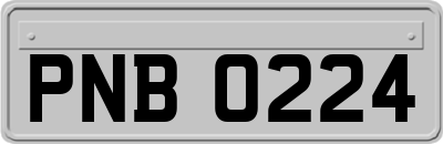 PNB0224