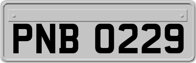 PNB0229