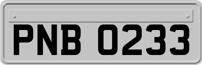 PNB0233