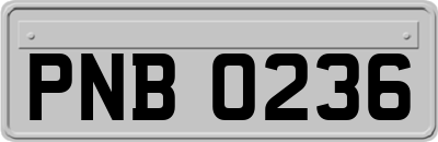 PNB0236
