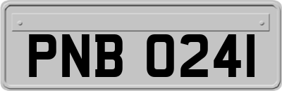 PNB0241