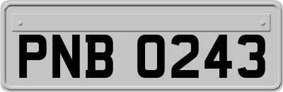 PNB0243