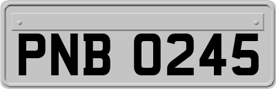 PNB0245