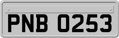 PNB0253
