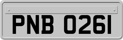 PNB0261