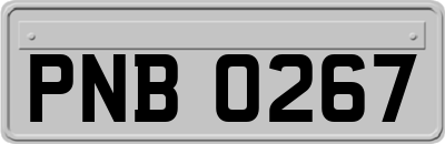 PNB0267