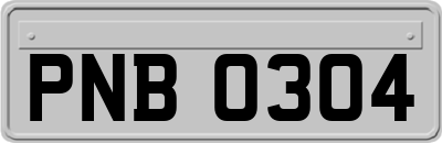 PNB0304