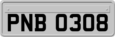 PNB0308