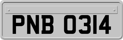 PNB0314