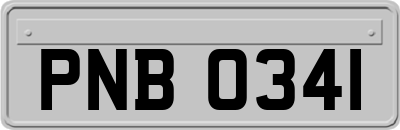 PNB0341
