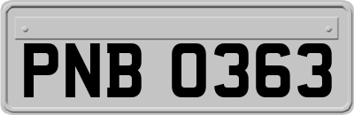 PNB0363