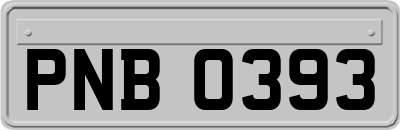 PNB0393